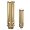 Spring-loaded safety valve series 812sGK brass/FPM atmospheric discharge adjustment range 0,2 - 30,0 barg 1" BSPP